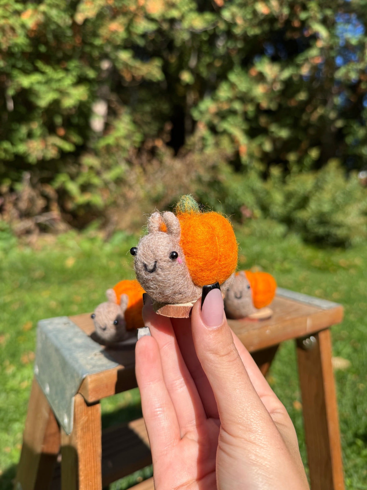 Pumpkin Snail