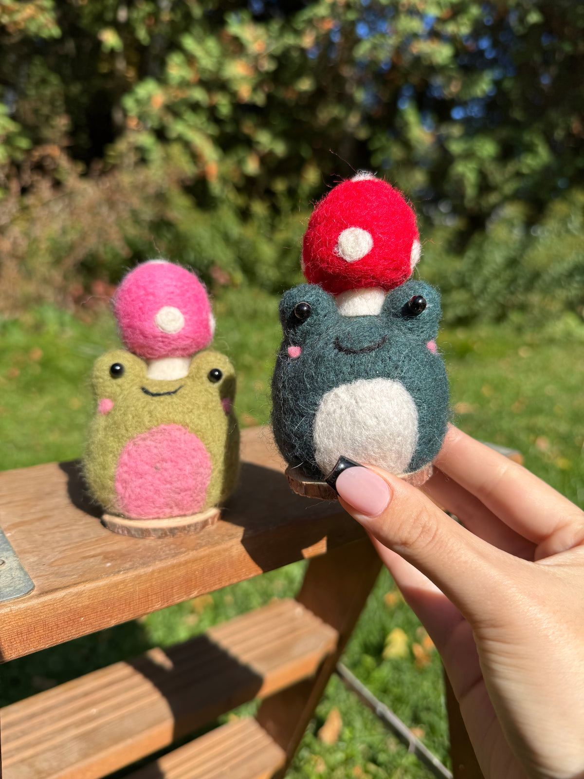 Mushroom Frogs
