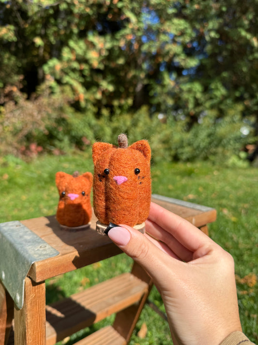 Pumpkin Cat