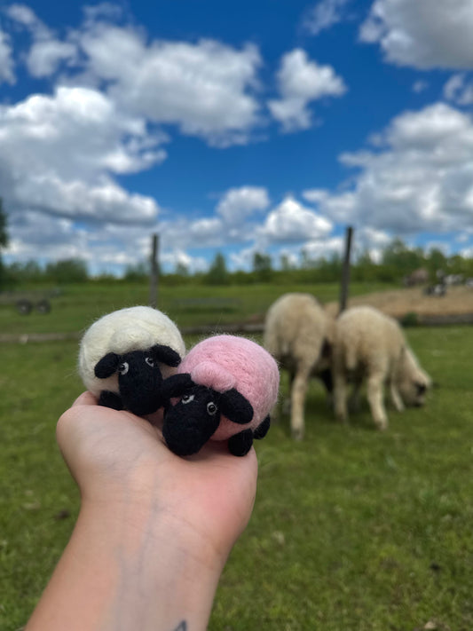 August 1st- 1:00-3:30pm Sheep Needle Felting Class & Sheep Meet and GREET