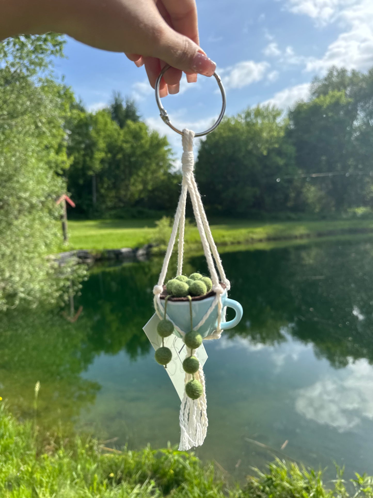 Teacup Hanging Plant