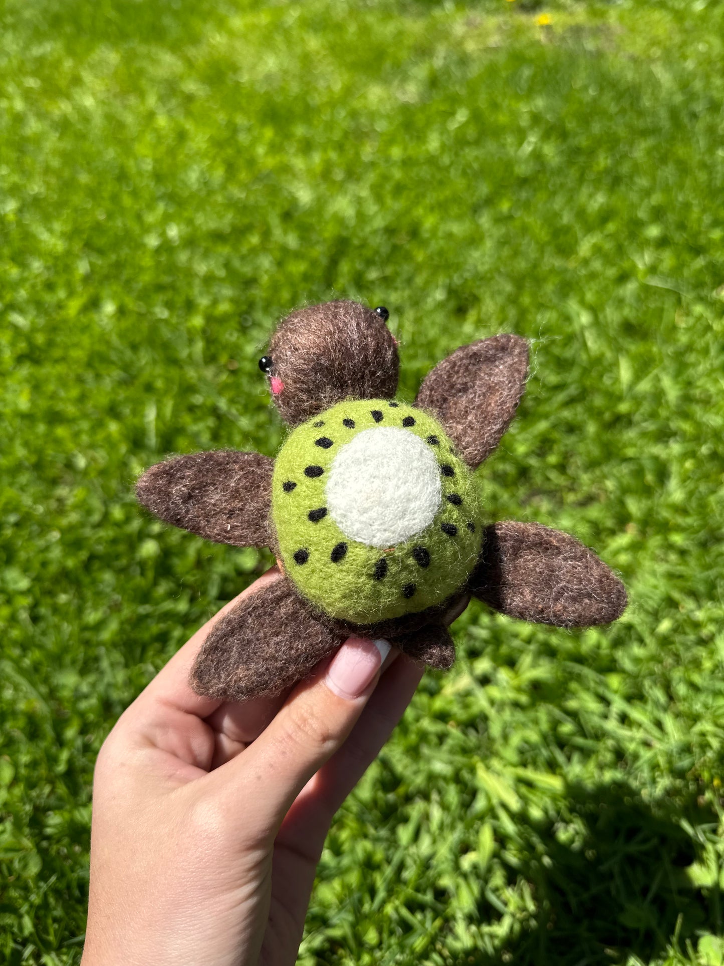 Kiwi Sea Turtle
