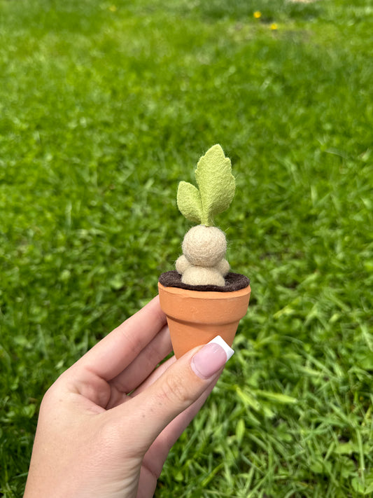 Mandrake