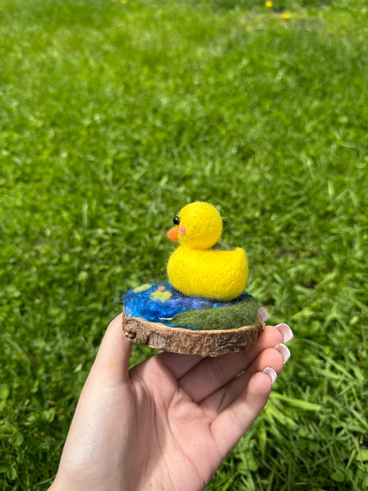 Duck in Pond
