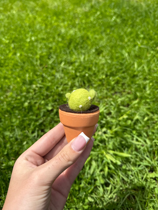 Light Green Cacti Pot