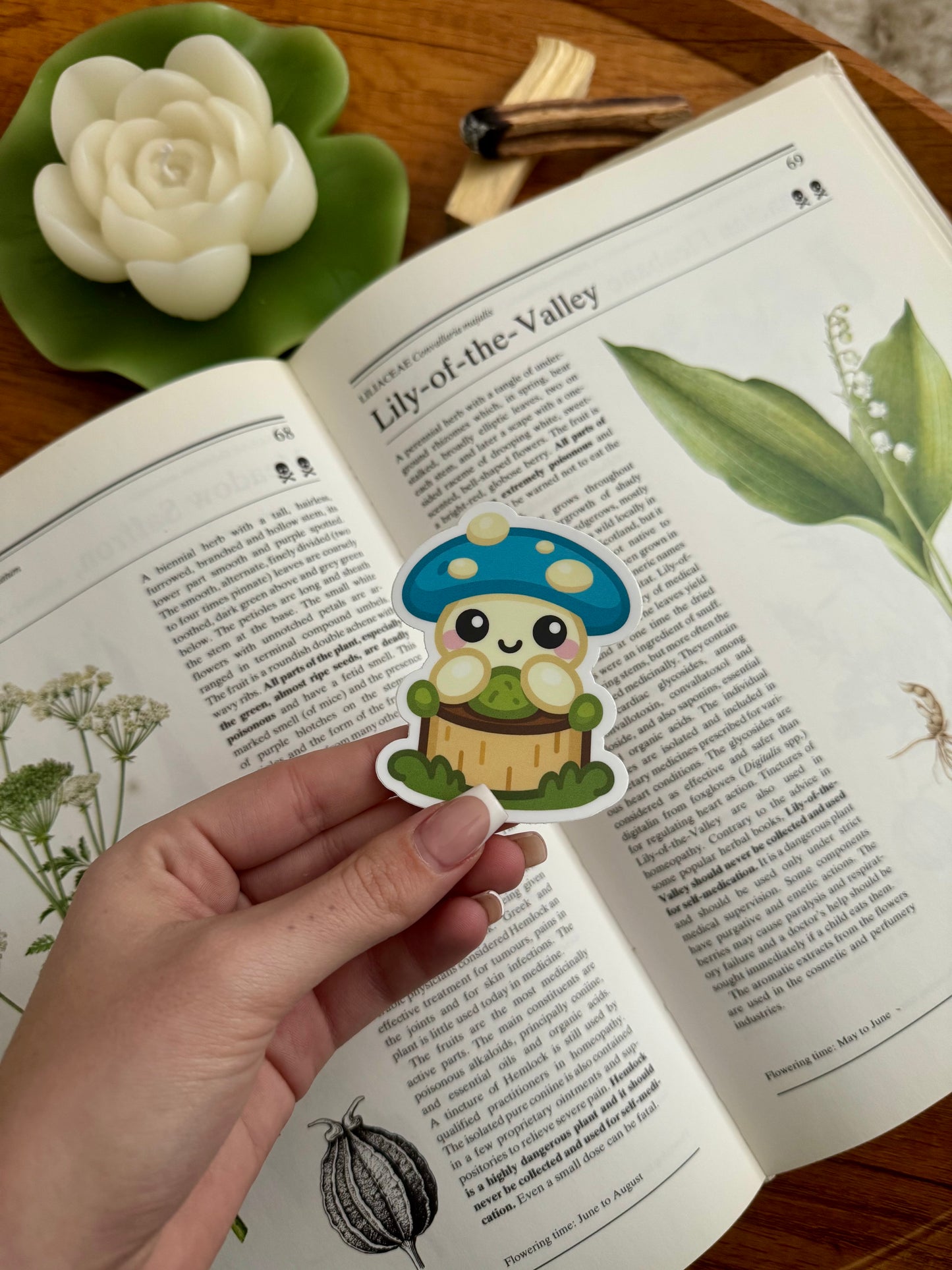 Blue Toadstool Sticker