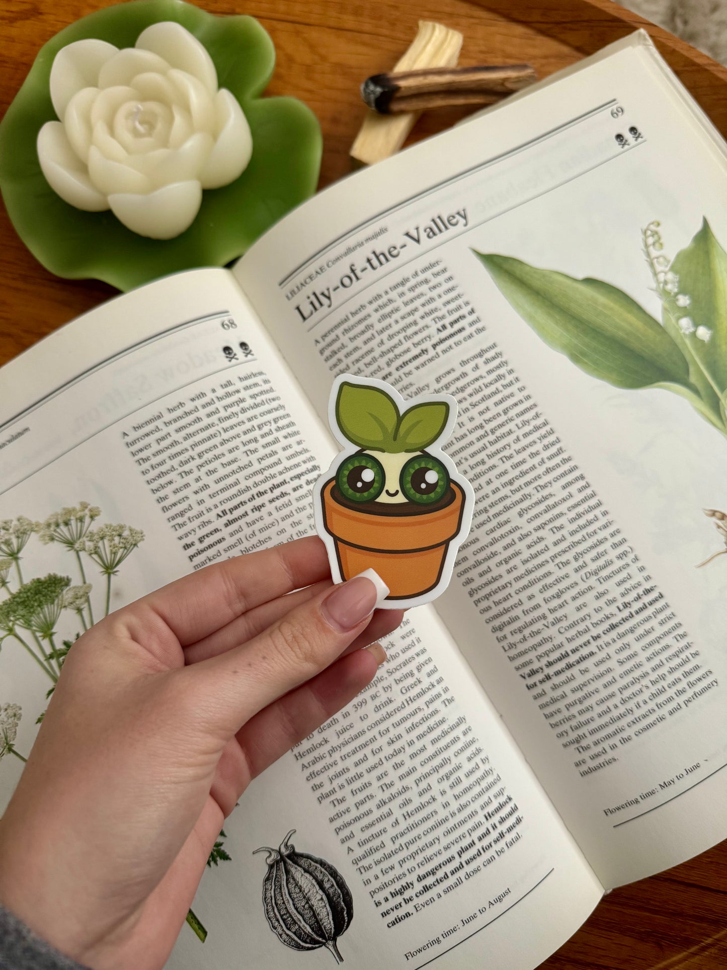 Sprout Sticker