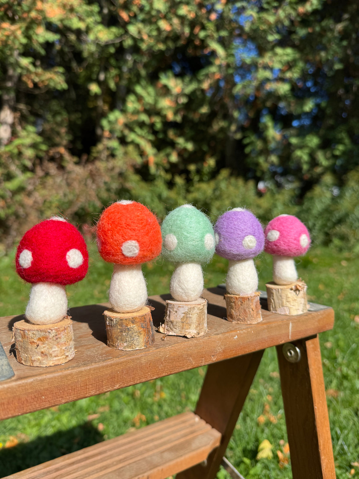 Mushroom