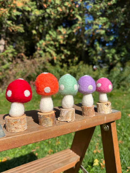 Mushroom