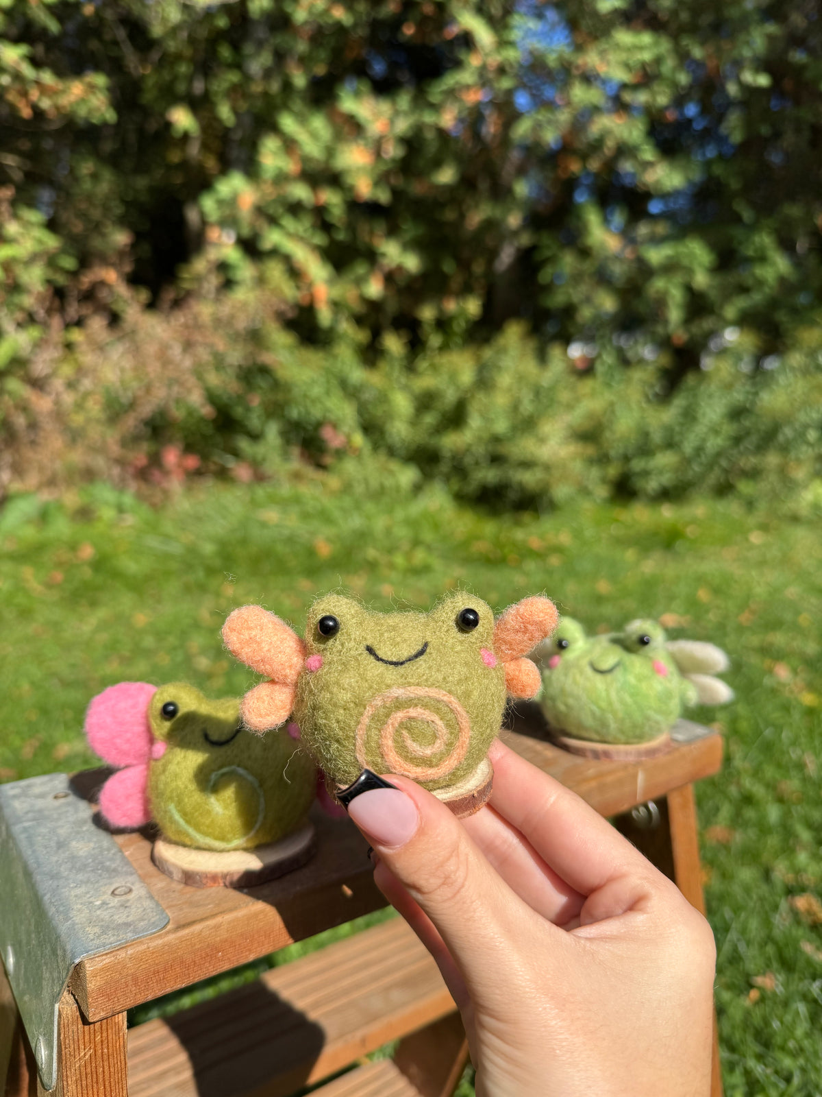 Fairy Frogs