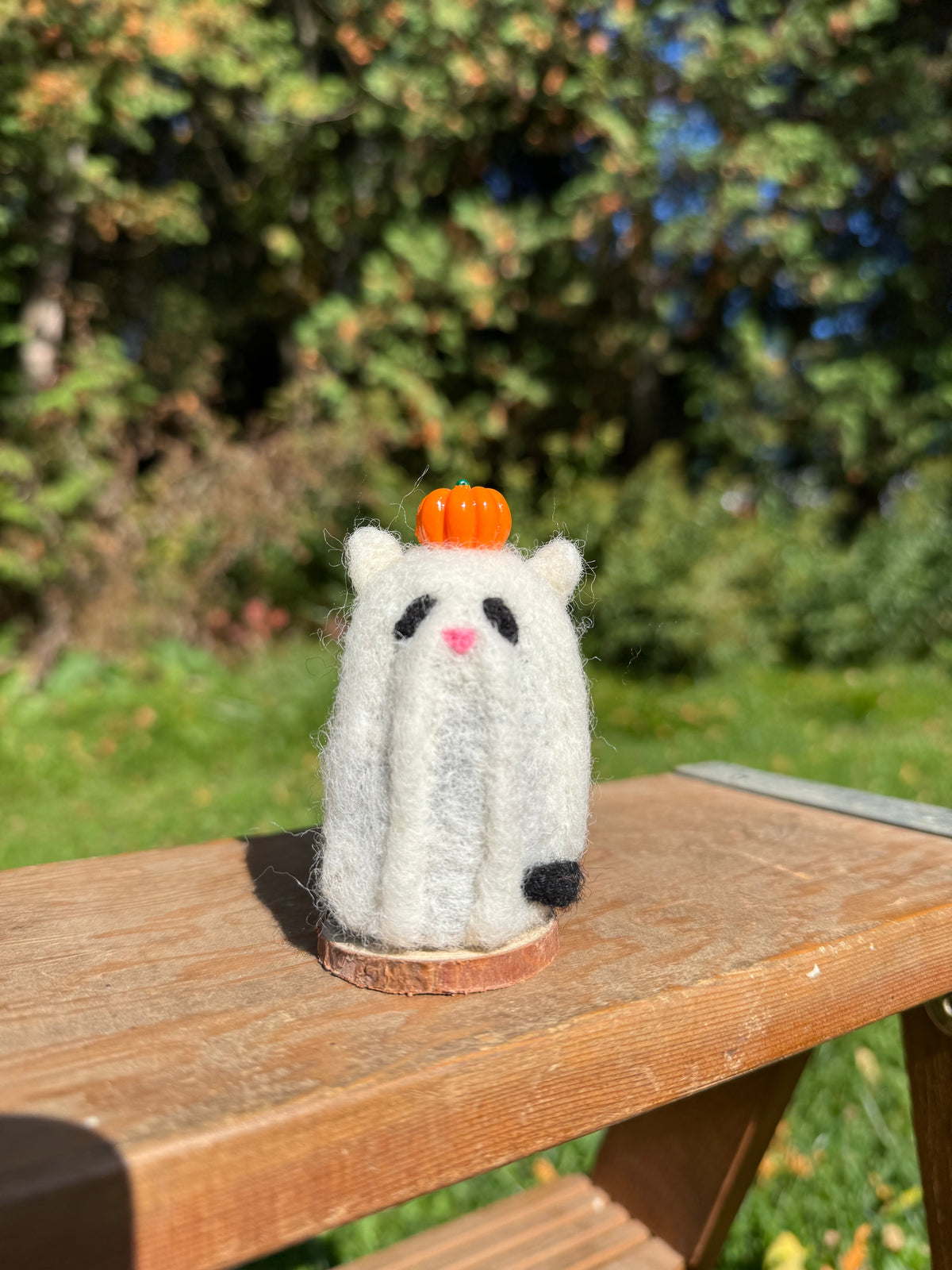 Ghost Cat