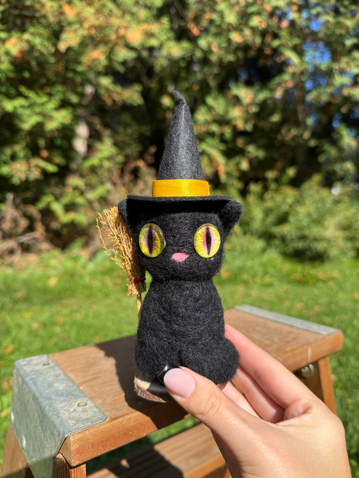Witch Cat