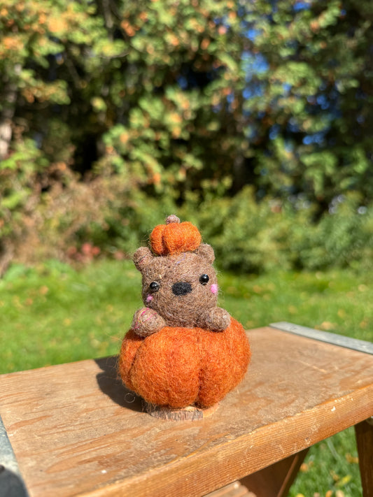 Pumpkin Bear