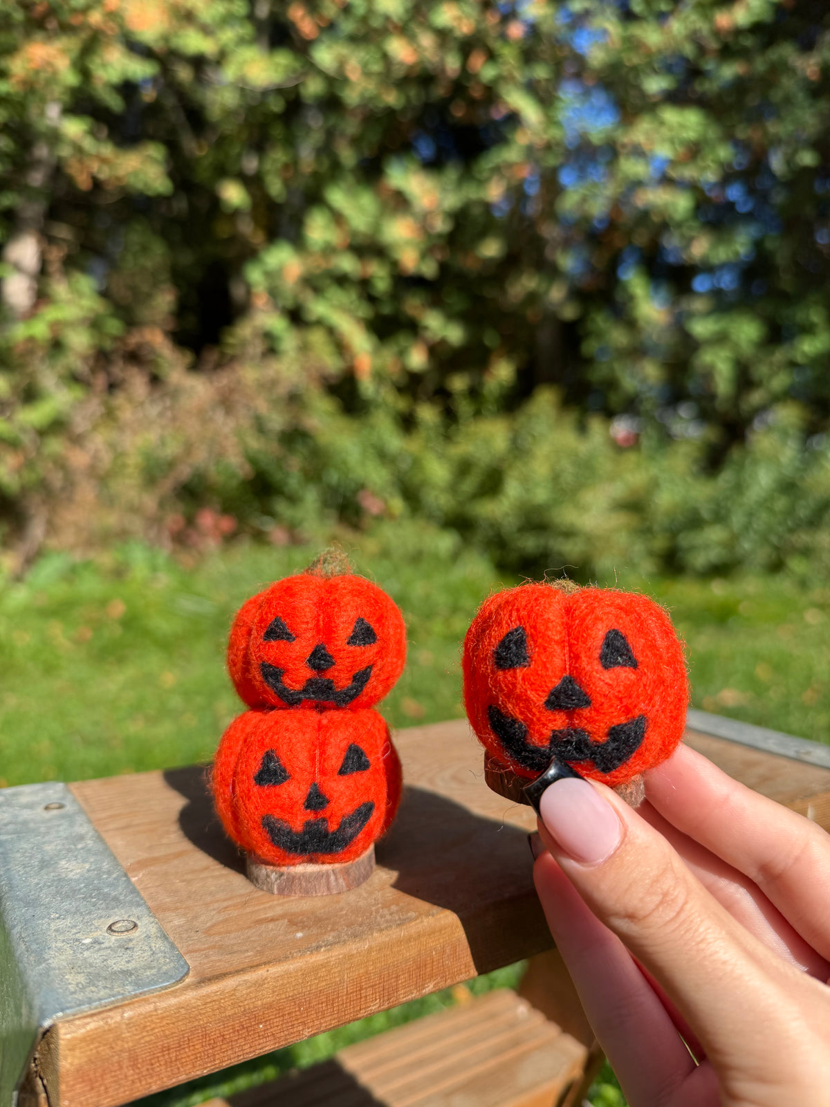 Jack-O-Lantern