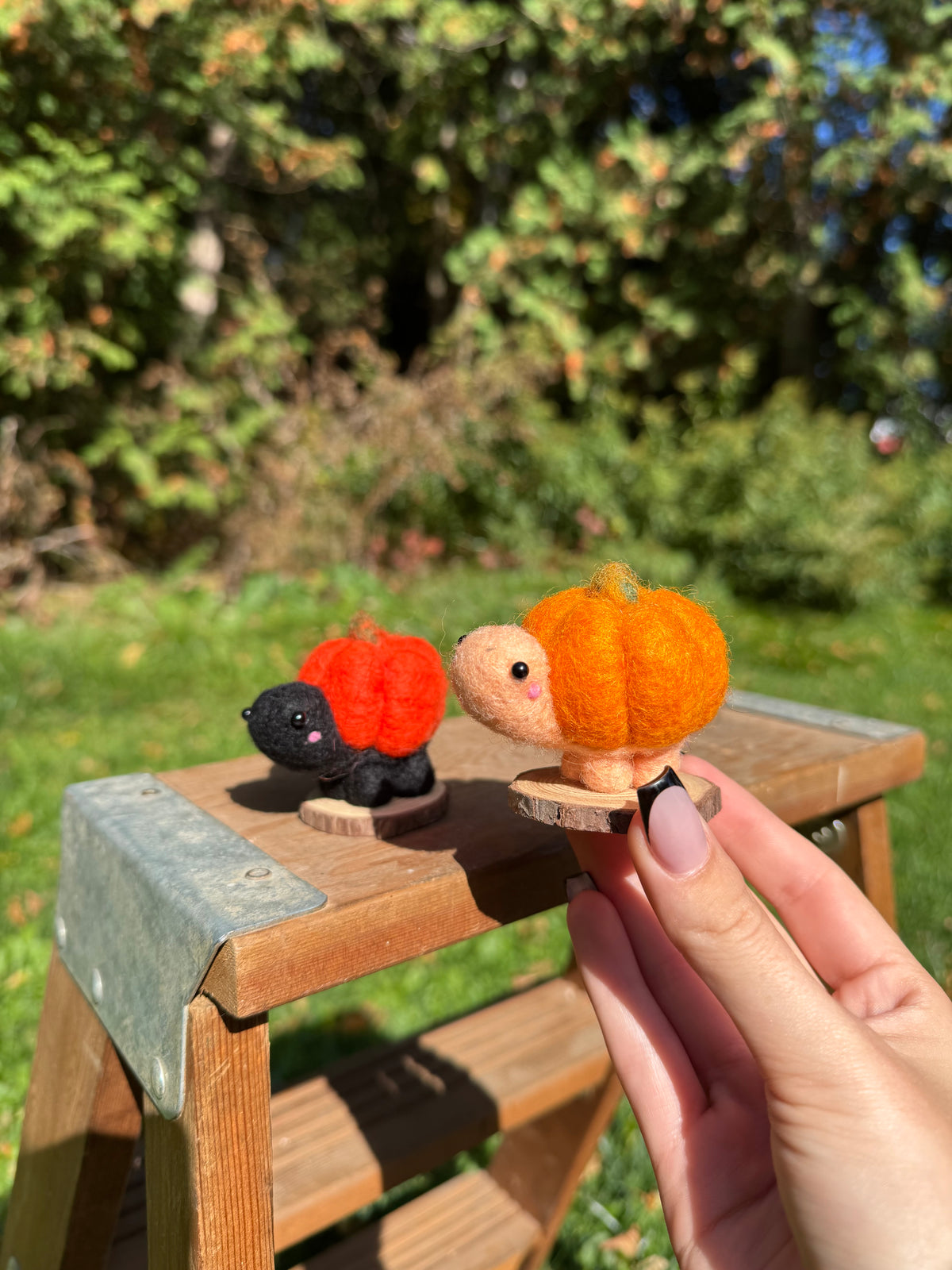 Pumpkin Turtle
