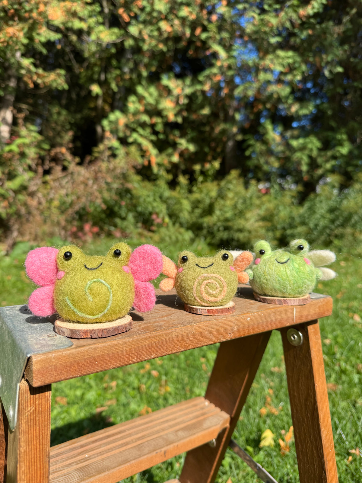 Fairy Frogs