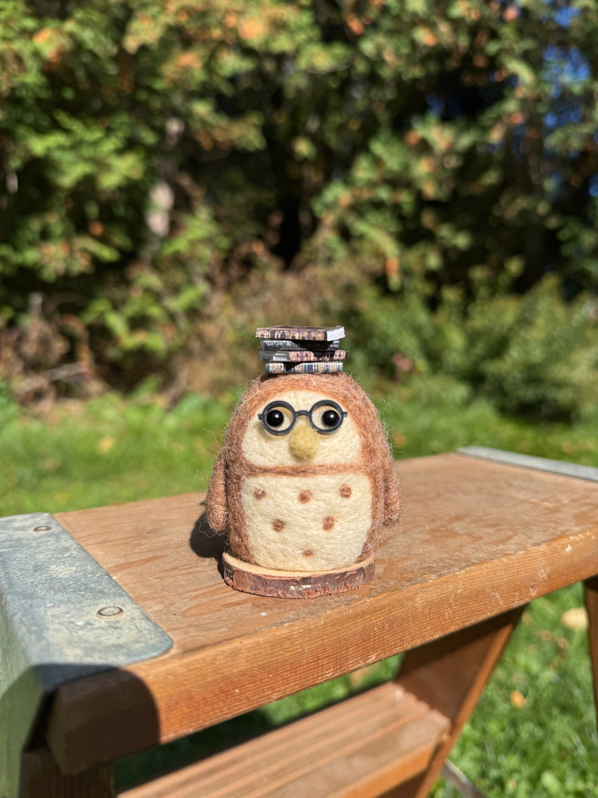 Book Owl