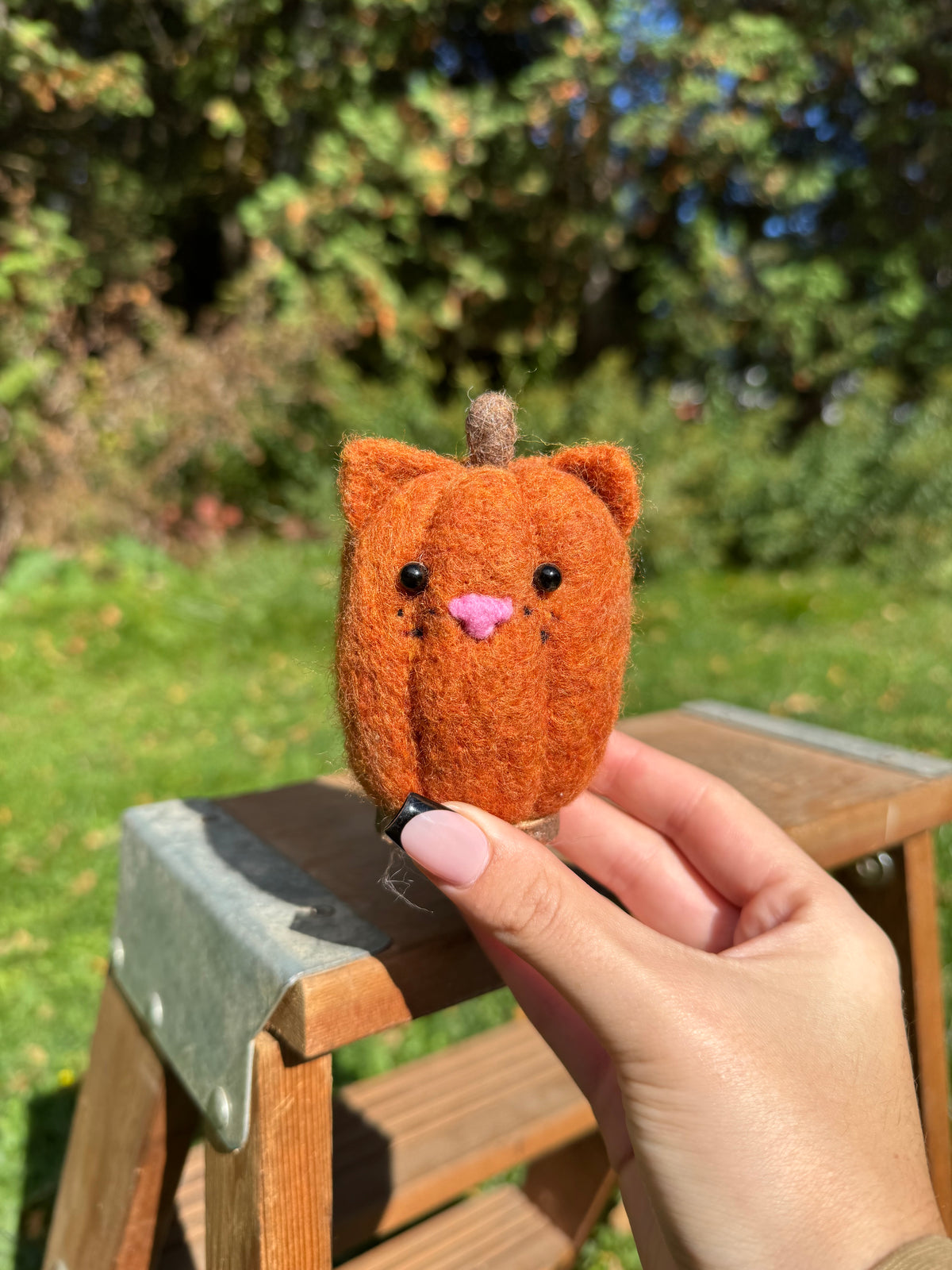 Pumpkin Cat
