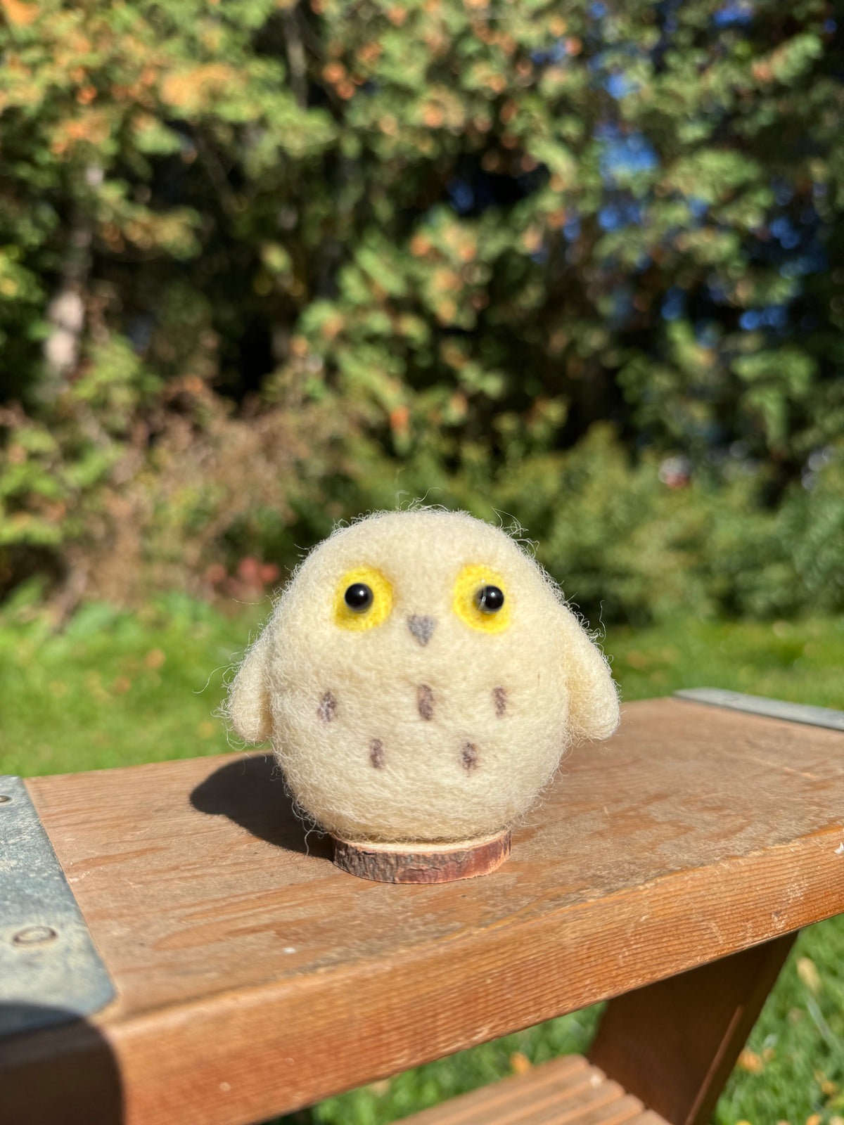 Hedwig the Owl