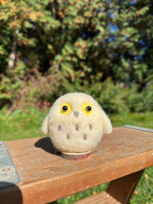 Hedwig the Owl