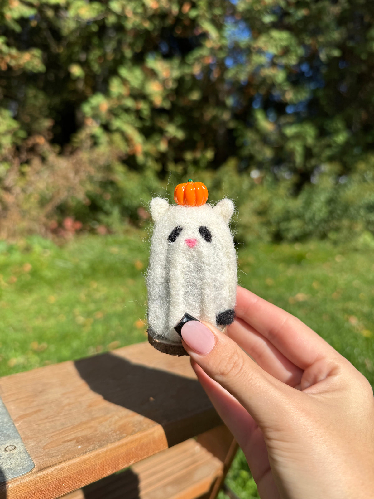 Ghost Cat