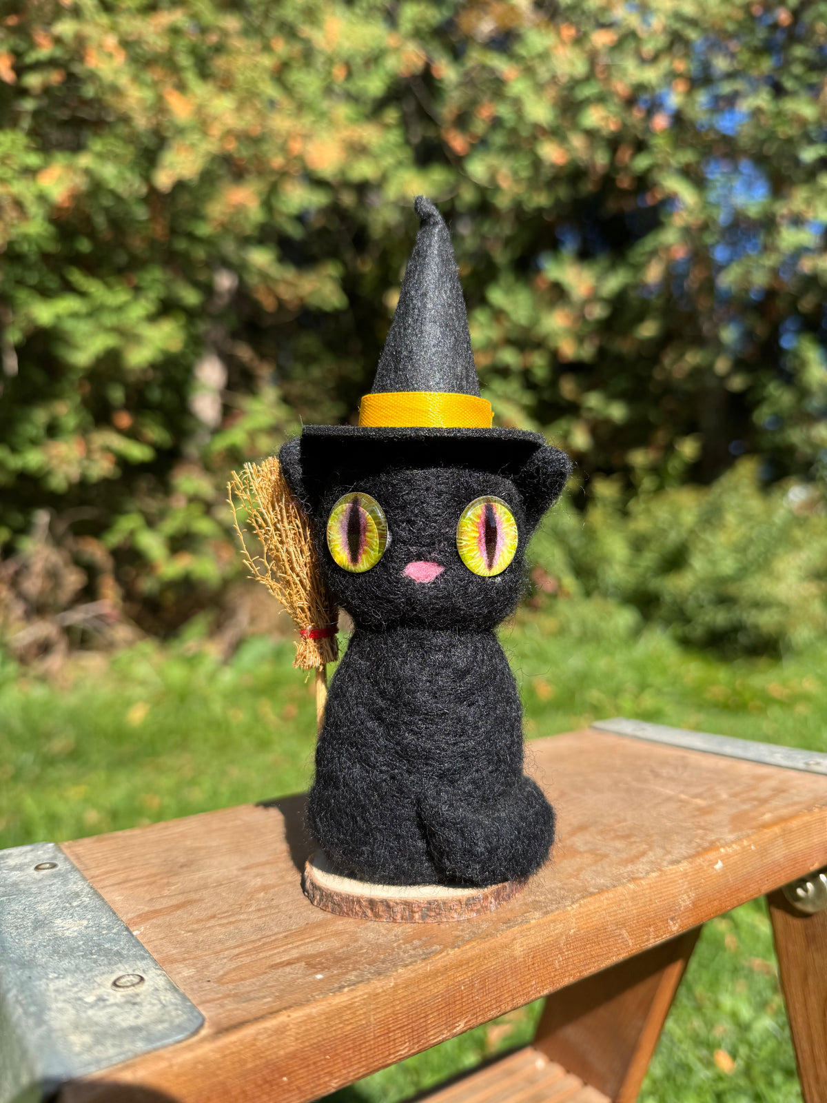 Witch Cat