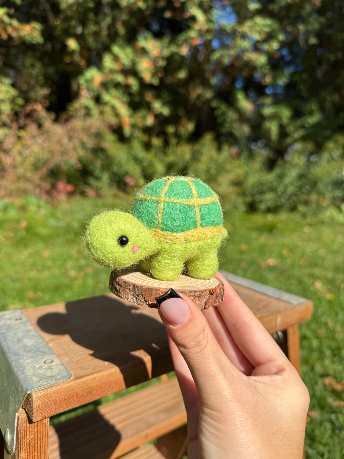 Franklin the Turtle