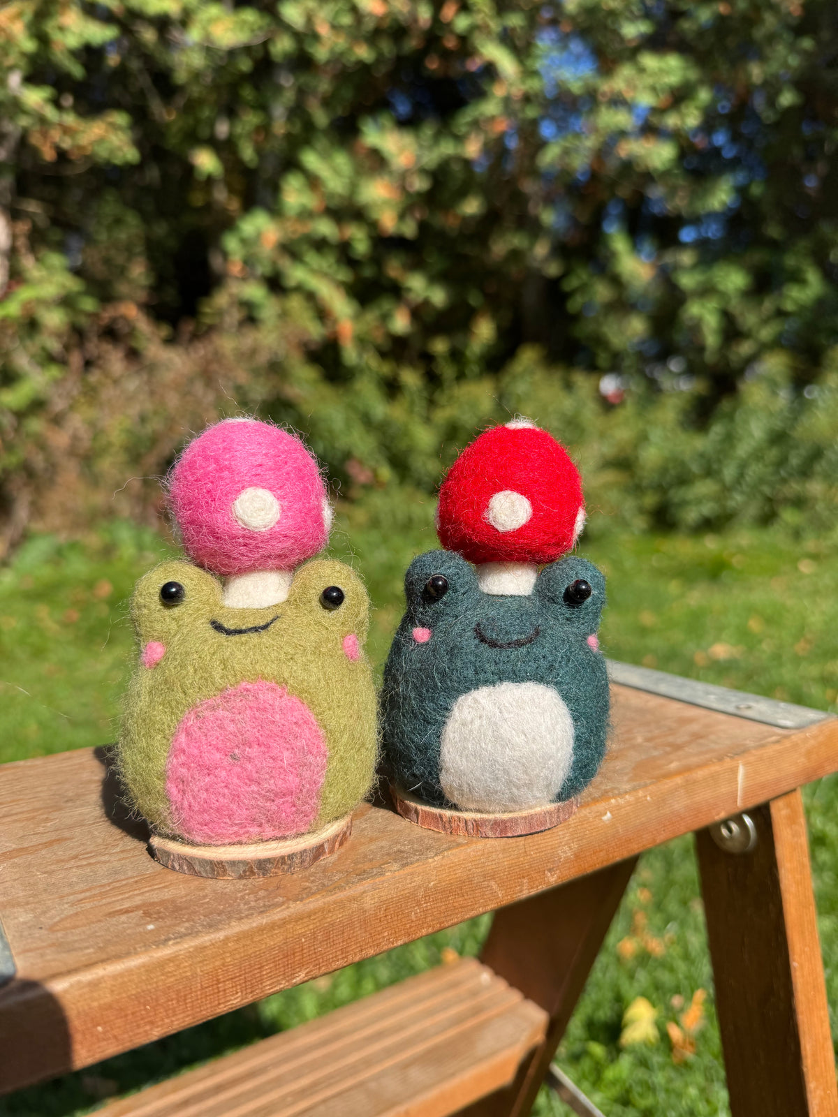 Mushroom Frogs