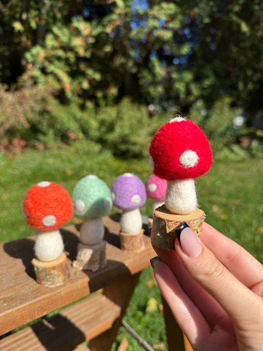 Mushroom