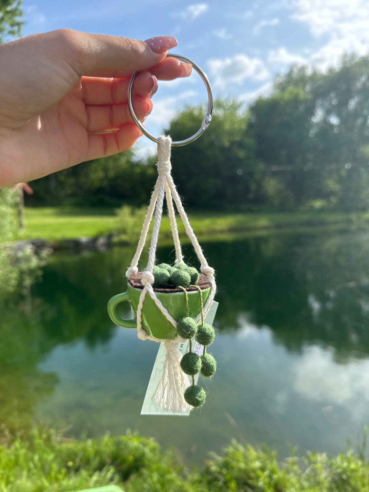 Teacup Hanging Plant