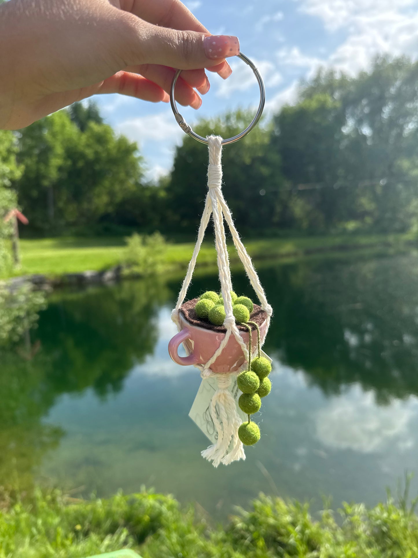 Teacup Hanging Plant
