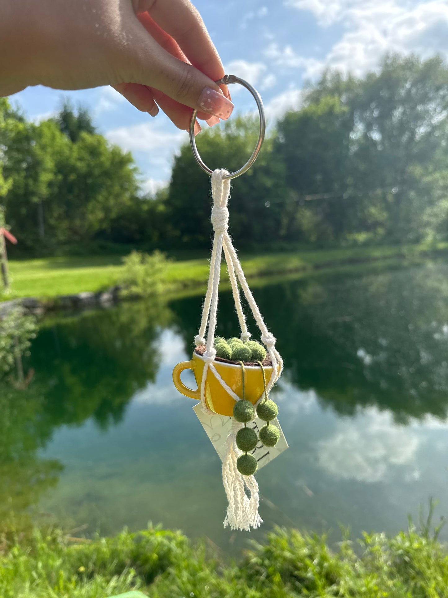 Teacup Hanging Plant