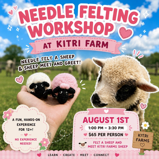 August 1st-  1:00-3:30pm Sheep Needle Felting Class & Sheep Meet and GREET