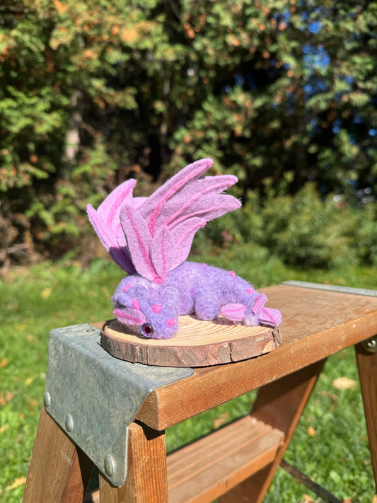 Wisteria the Dragon
