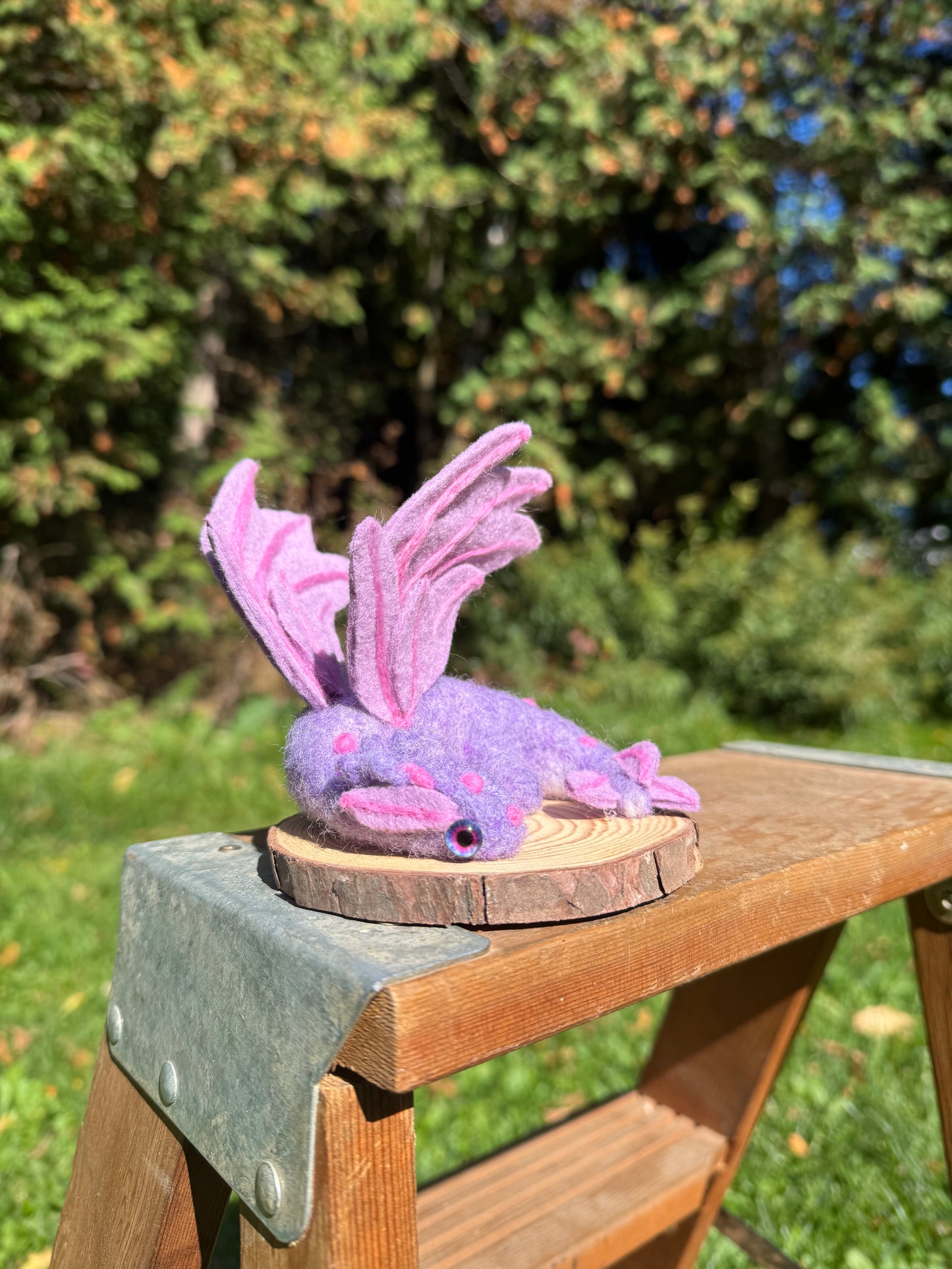 Wisteria the Dragon