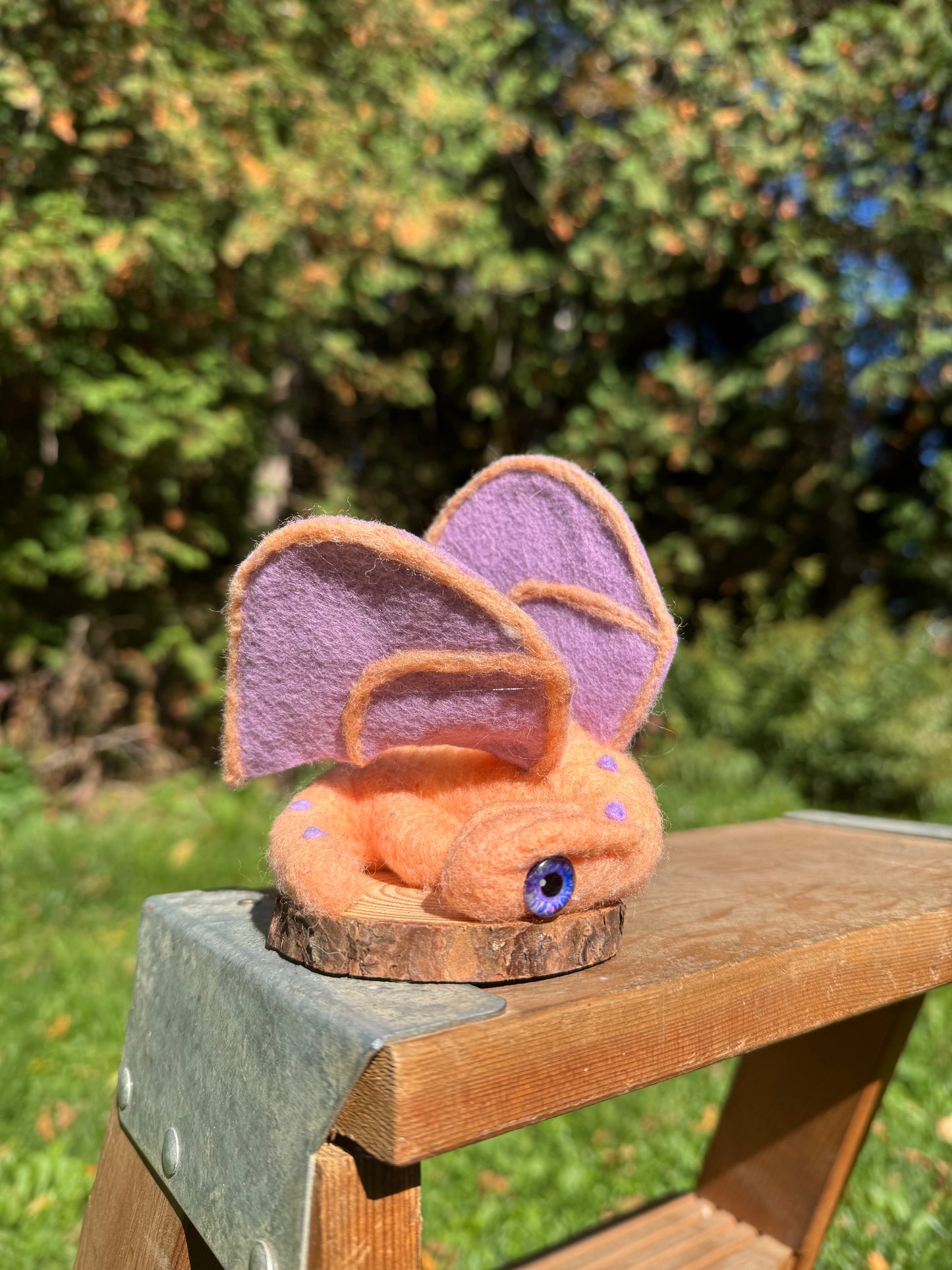 Autumn the Dragon