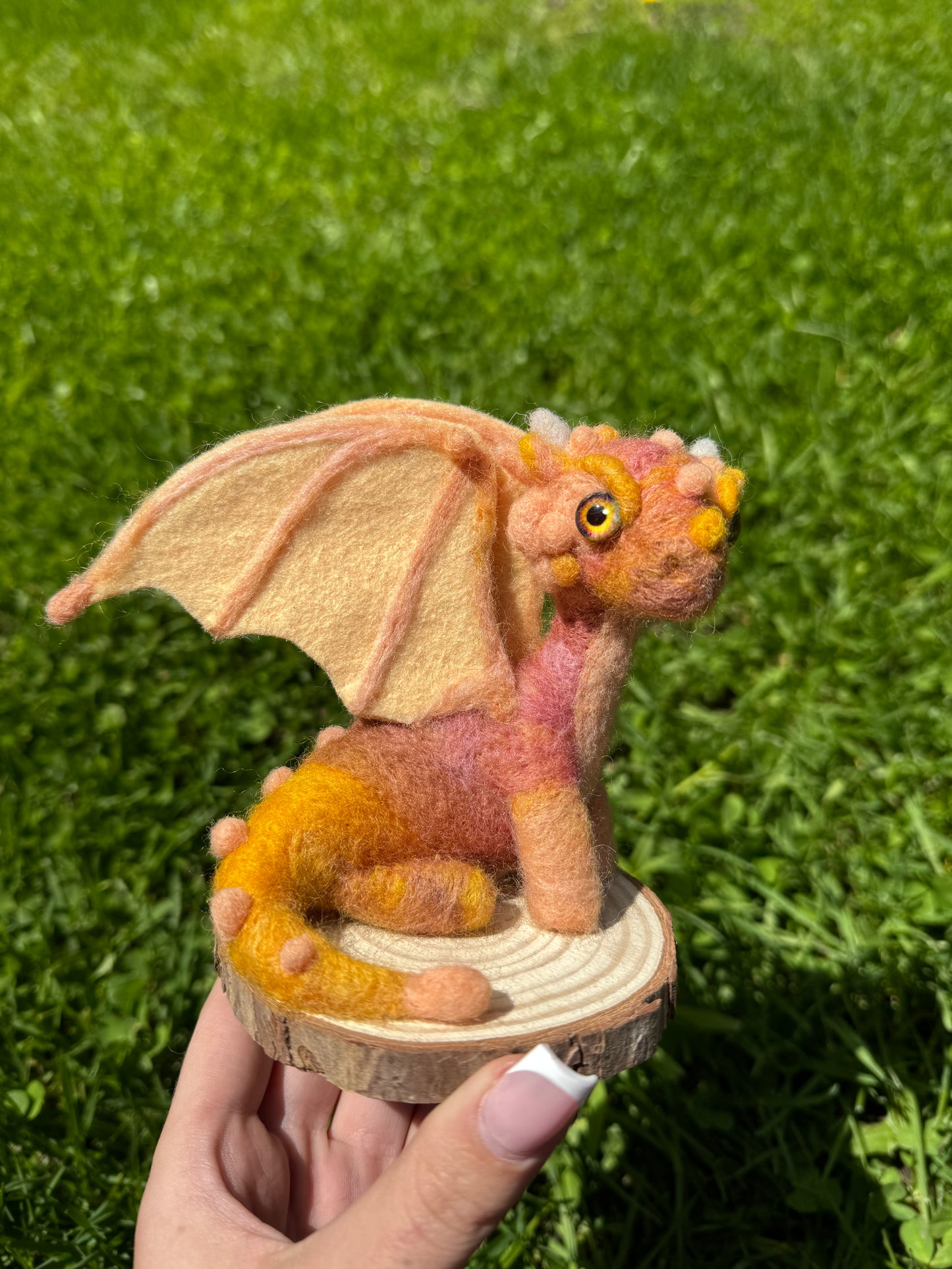 Sunset Dragon