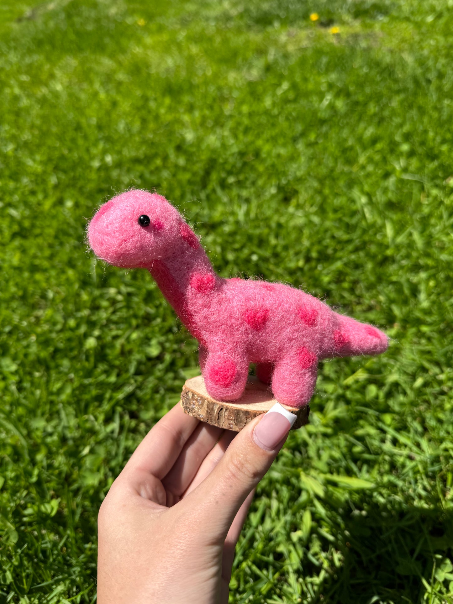 Rosie Dinosaur