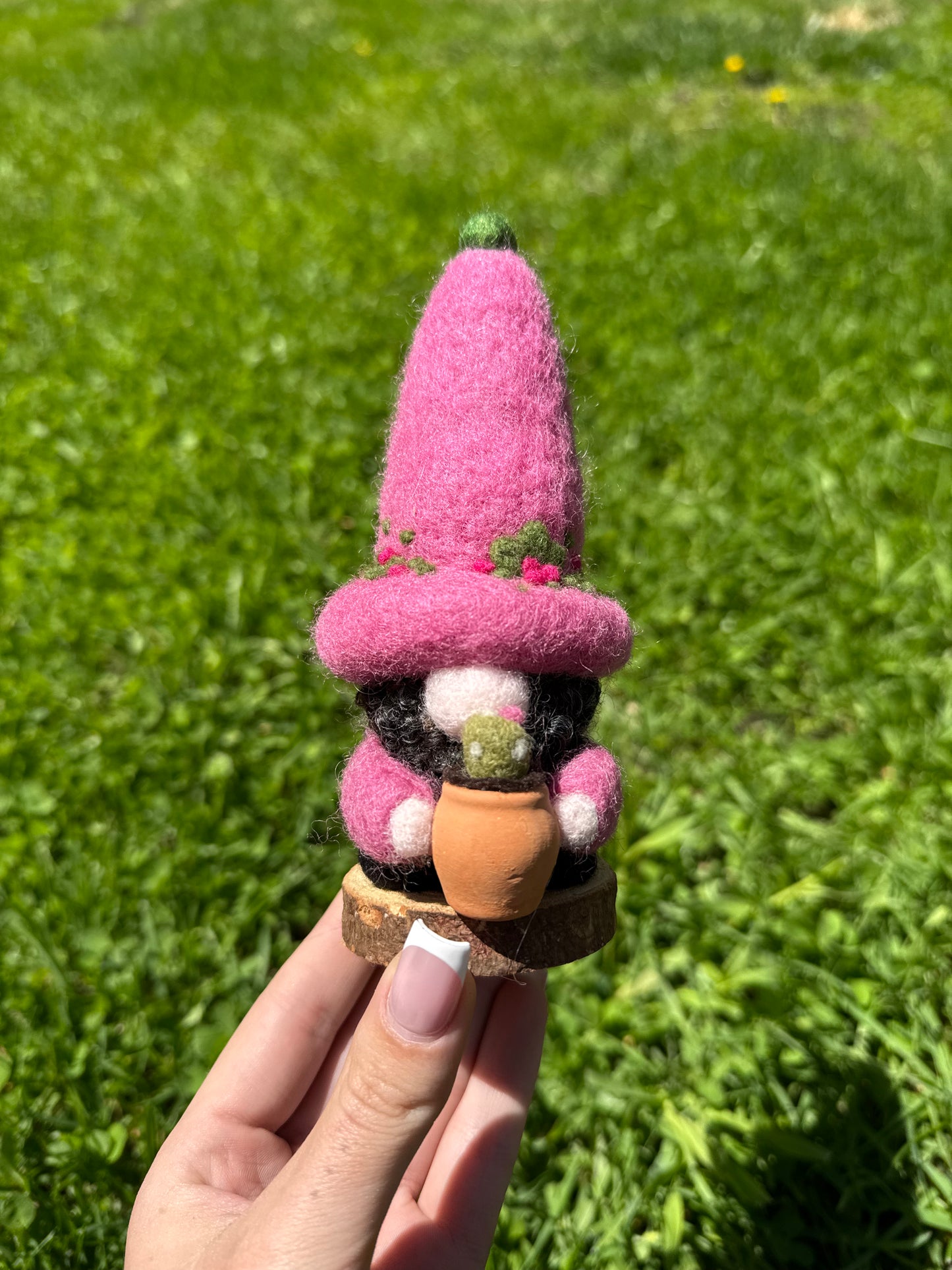 Spring Gnome