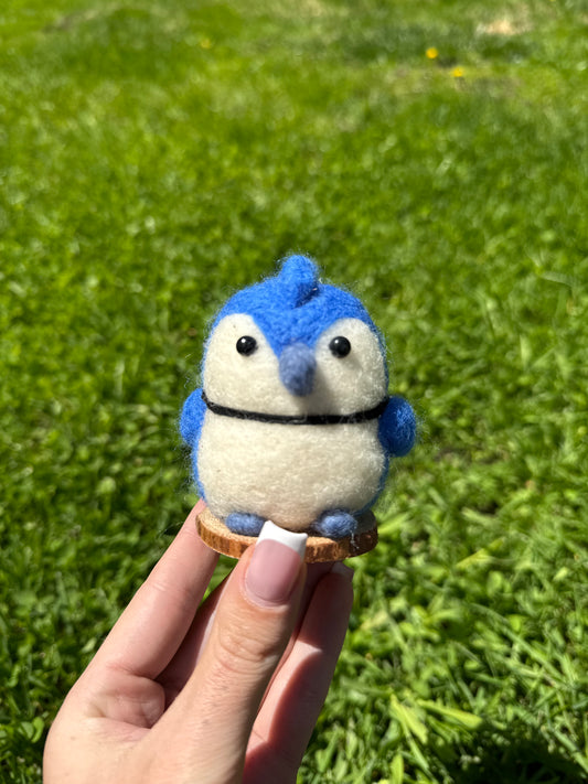 Blue Jay