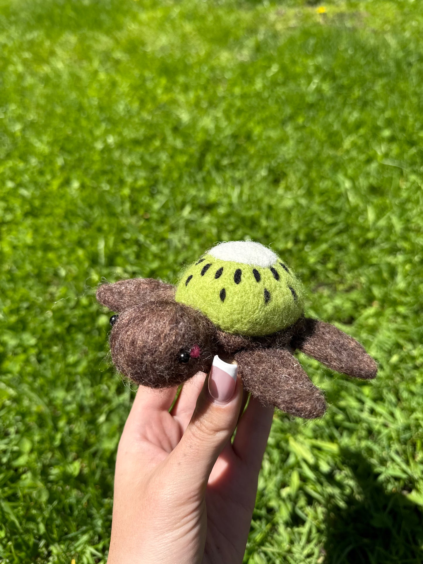 Kiwi Sea Turtle