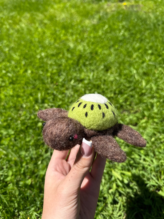 Kiwi Sea Turtle