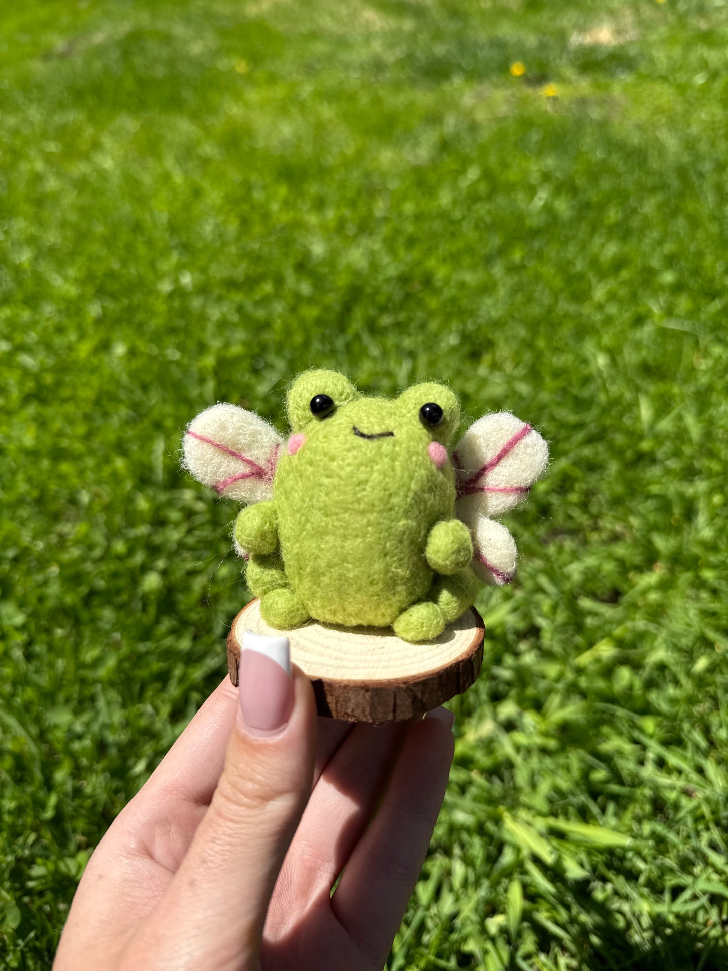 Fairy Frog