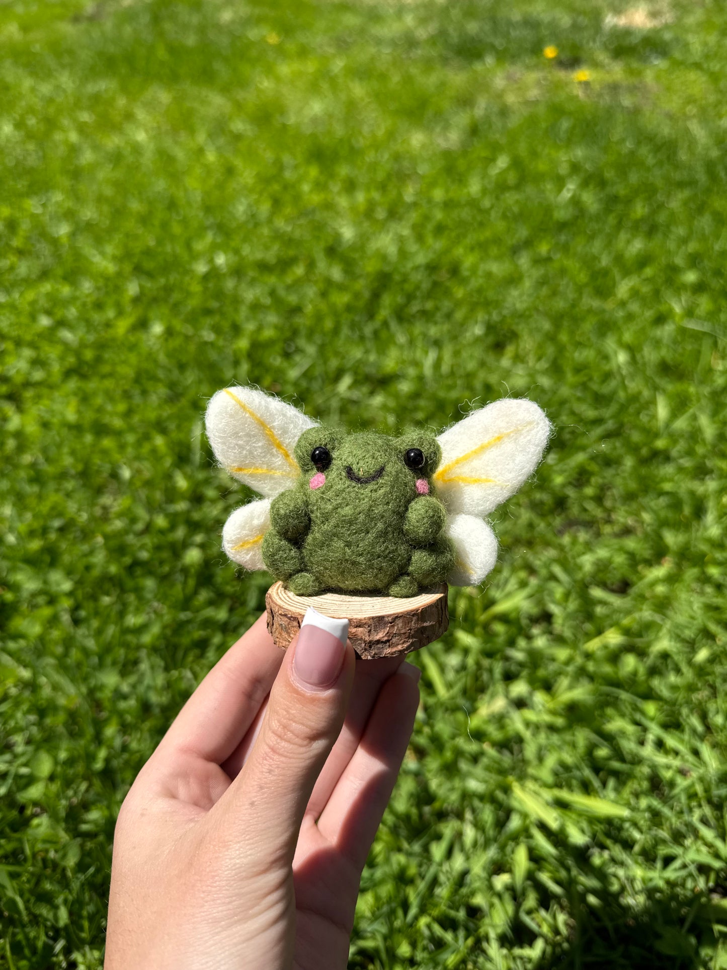 Fairy Frog