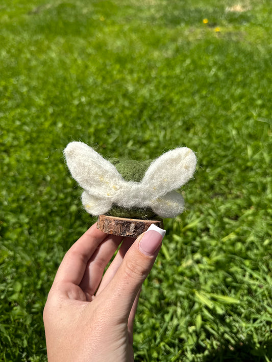 Fairy Frog