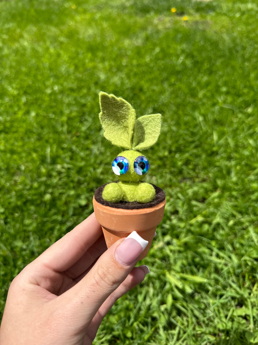 Mandrake