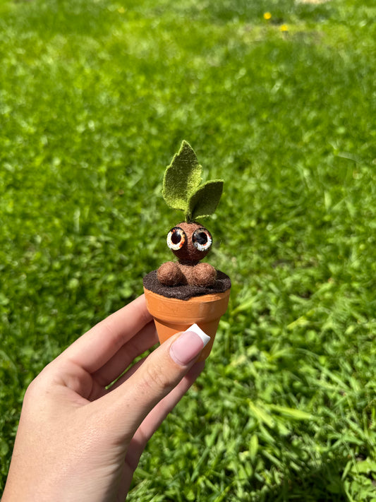 Mandrakes