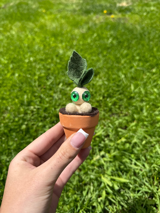 Mandrake