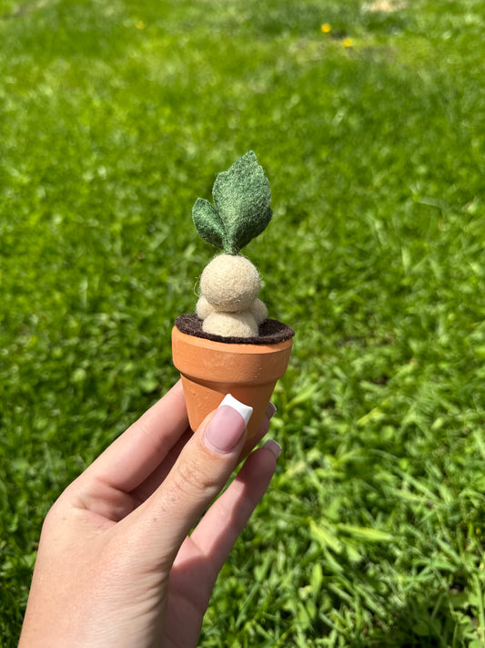 Mandrake