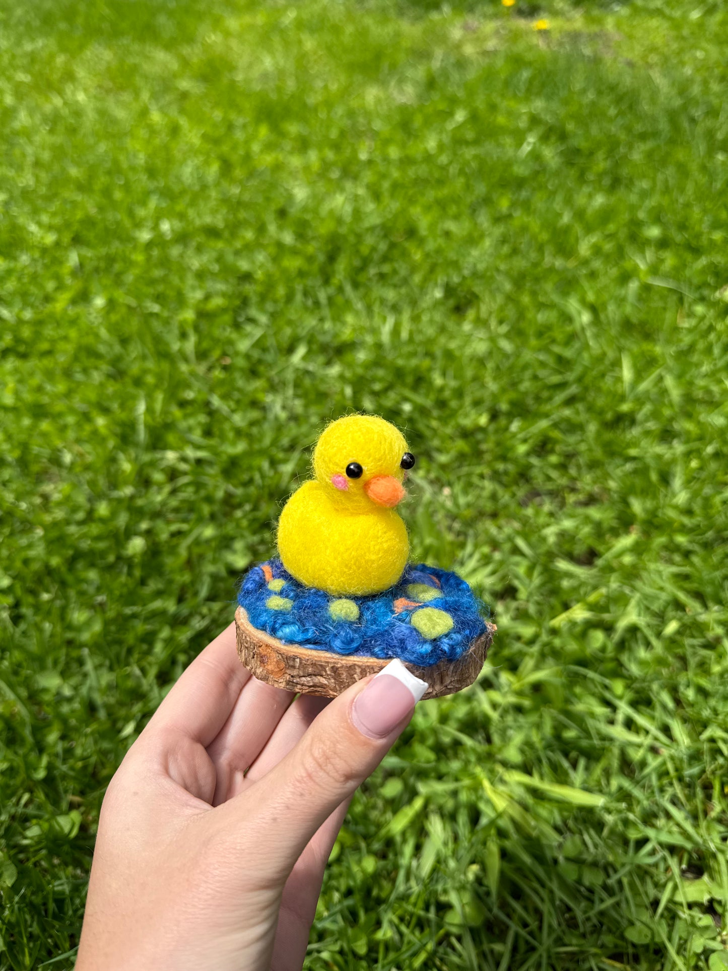 Duck in Pond